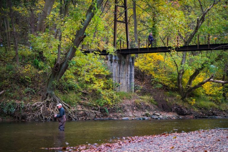 Escape To Nature: Maryland’s Patapsco Valley State Park (Hollofield Area)