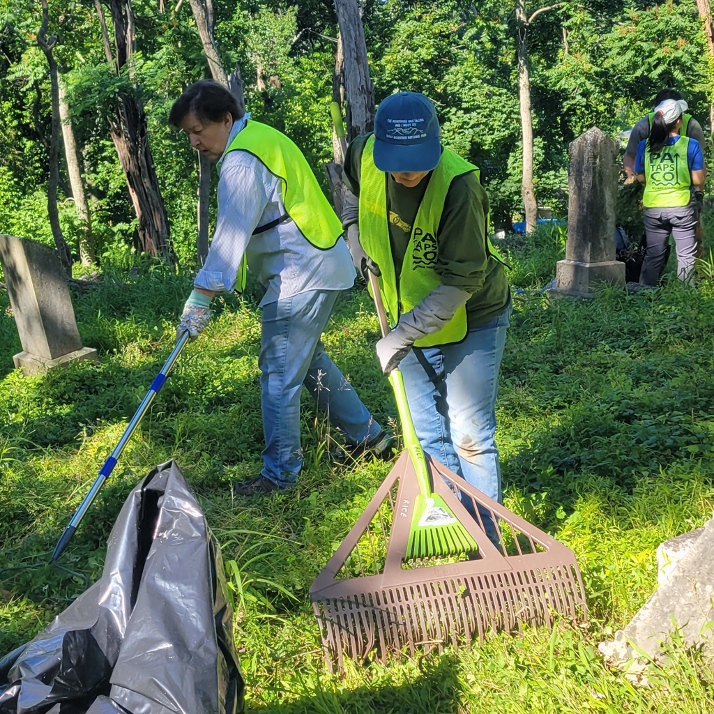 Two volunteers help to clean up and remove invasive plants from the historic Oella Cemetery. Tombstones are seen in the background.