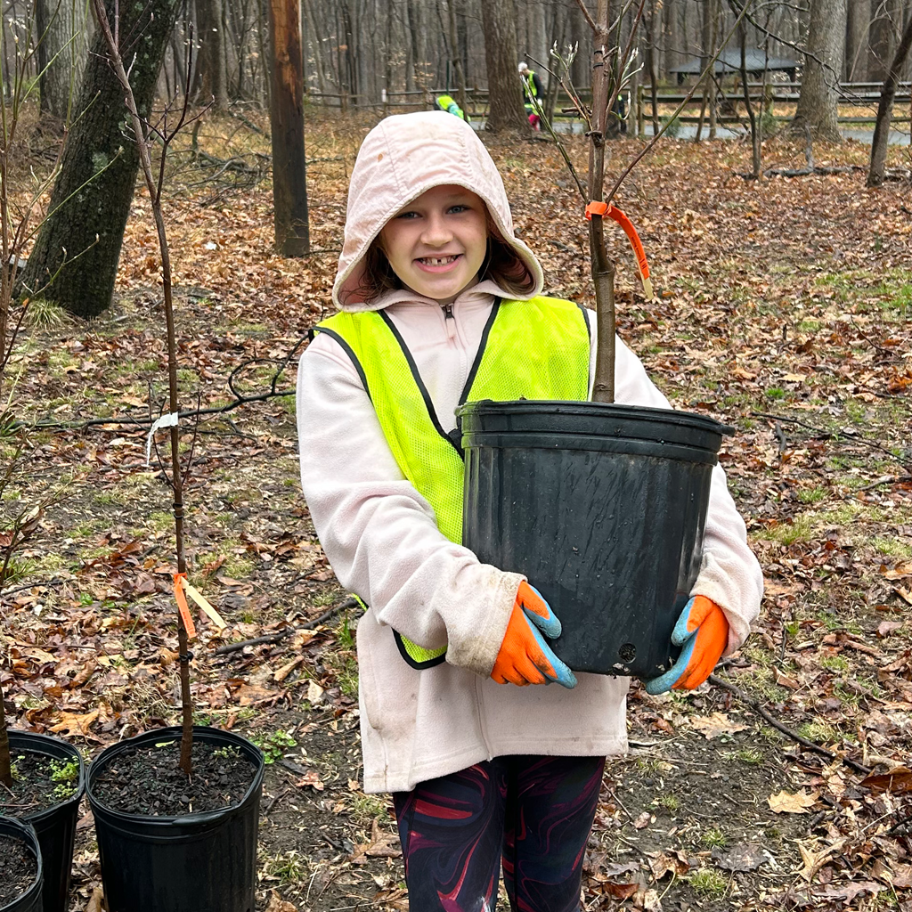 A volunteer holds a tree sapling at a Tree Planting event at Patapsco Valley State Park.
