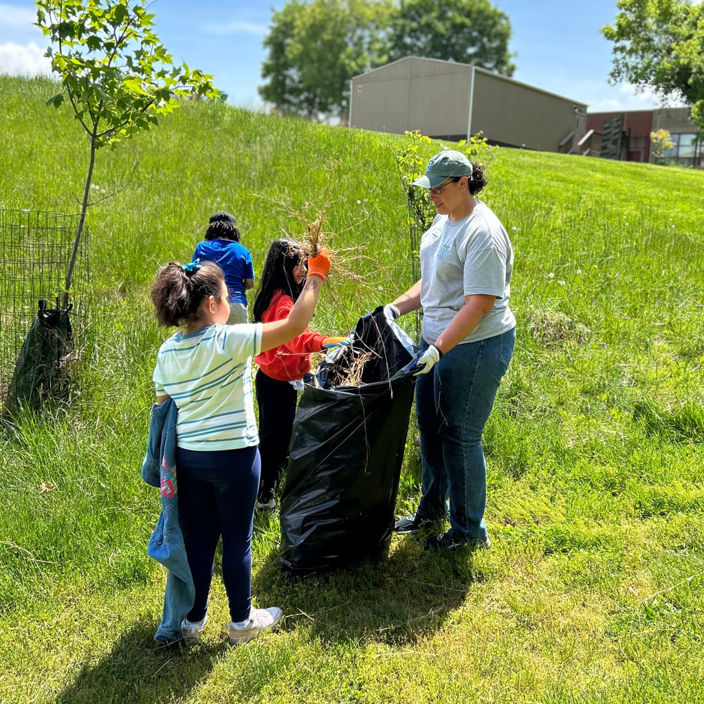 Participants at an environmental workshop help to remove invasive plants and place the plants in a trash bag.