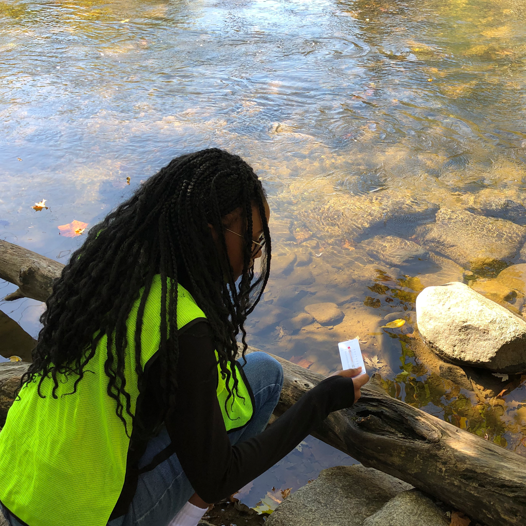 Participant at a Water Quality Watchers workshop observes the water.