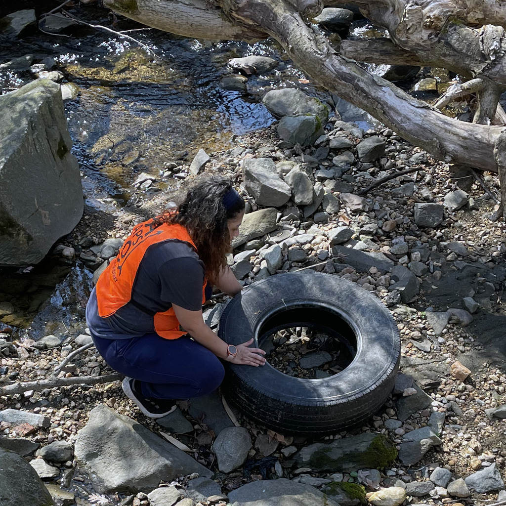 A volunteer gets ready to remove a tire from near a stream at a Stream Cleanup Stewardship event.