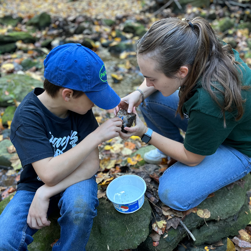 Participant at 2023 Family Day along the Trolley Trail uses tweezer to observe a macroinvertebrate on a rock helped by PHG staff.